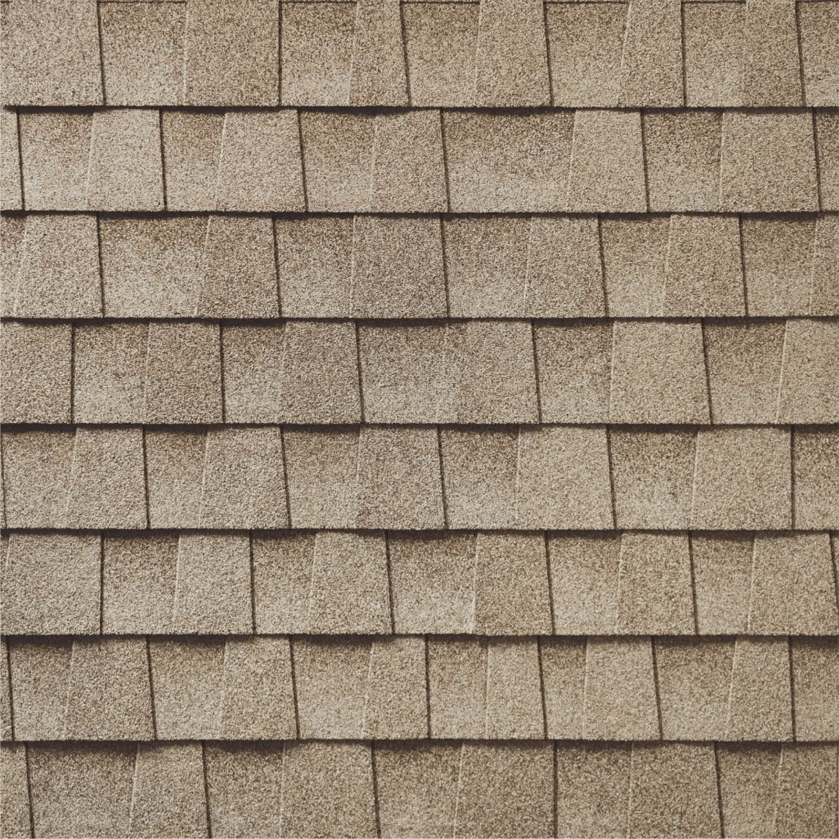 One Legacy Roofing Images