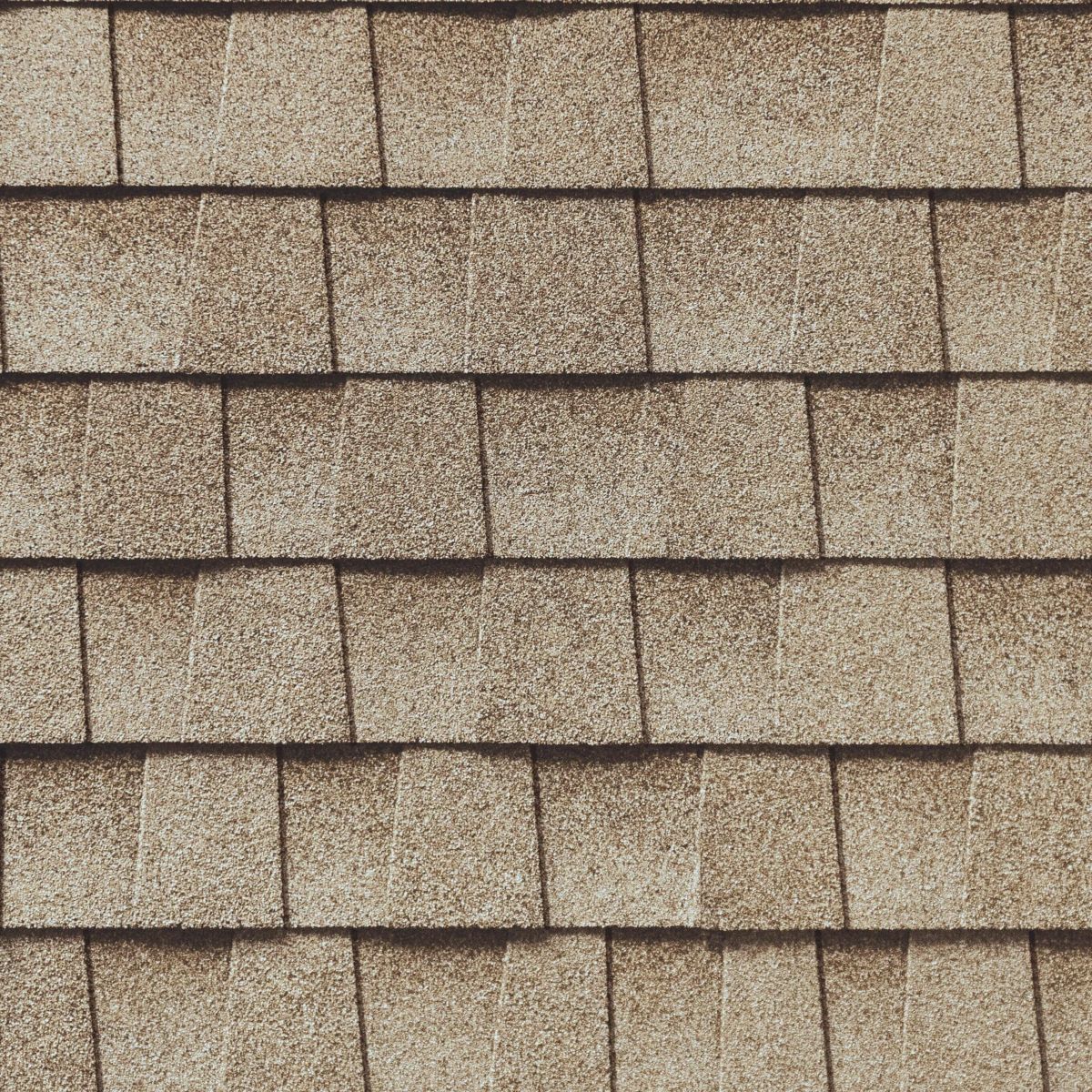 One Legacy Roofing Images