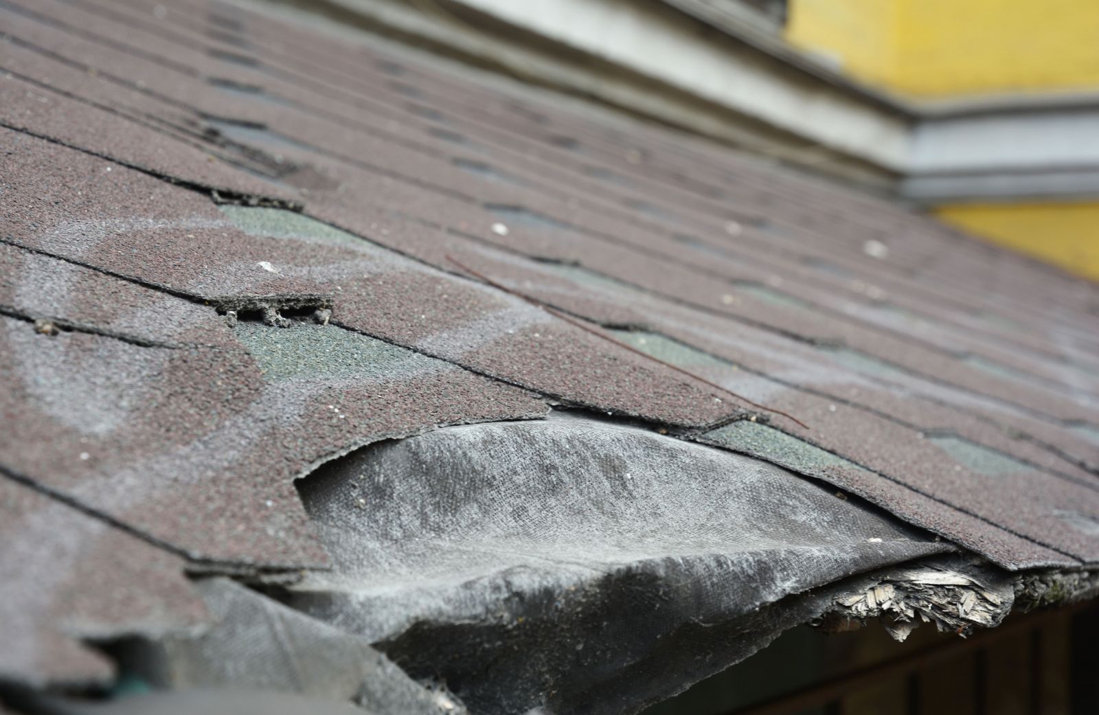 One Legacy Roofing Images