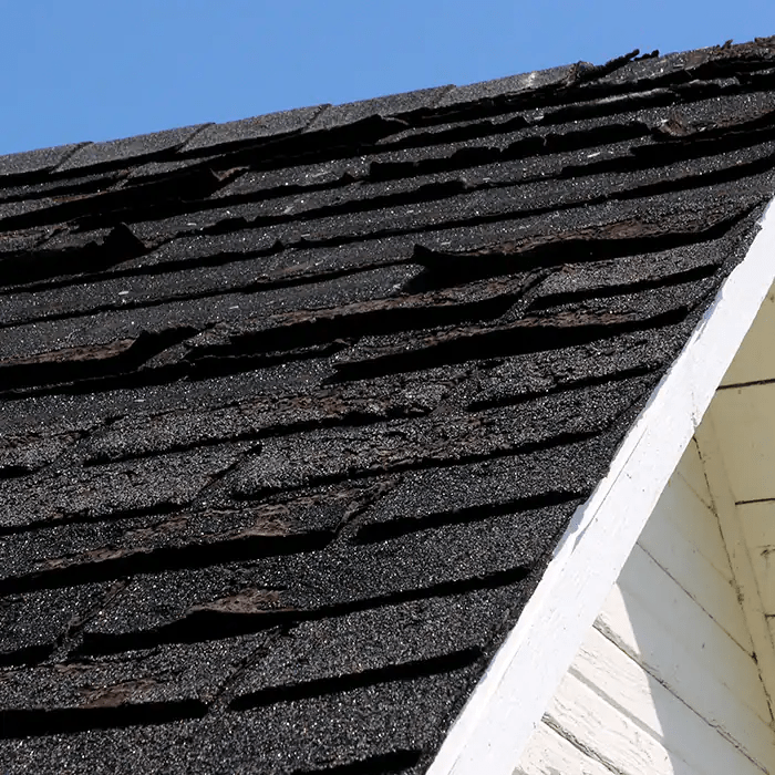 One Legacy Roofing Images