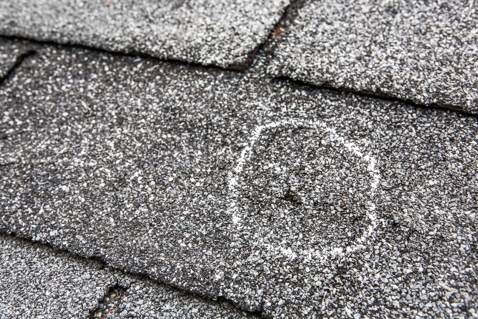 One Legacy Roofing Images