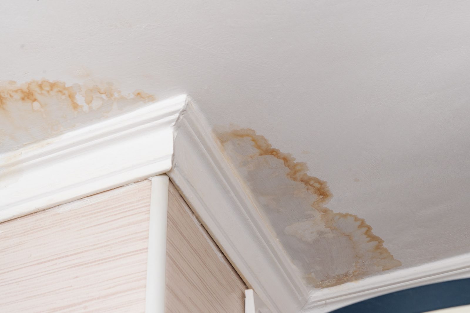 One Legacy Roofing Images