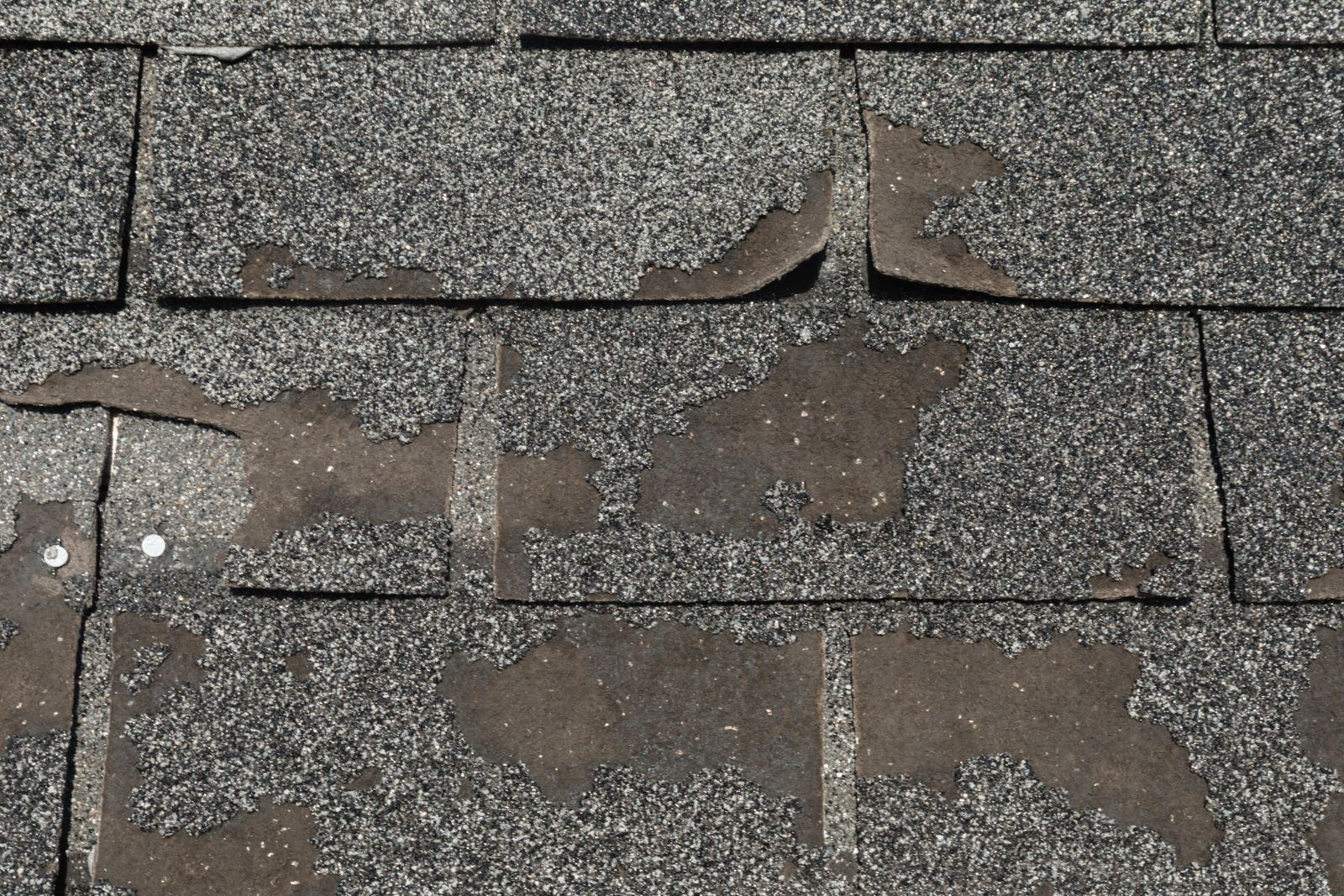 One Legacy Roofing Images